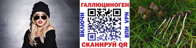 Галлюциногенные грибы MAGIC MUSHROOMS  Злынка 